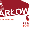 Darłowo włącza się w kampanię pn. KILOMETRY DOBRA